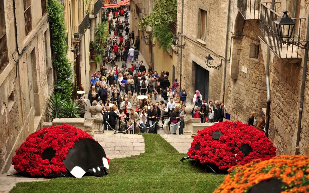 Girona Temps de Flors (zona Barcelona)