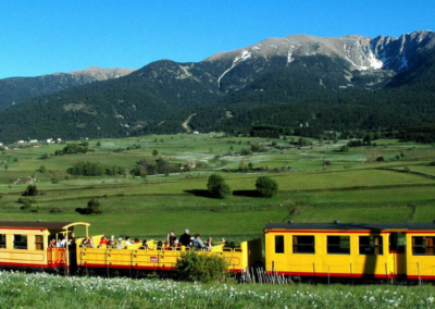 Tren Groc de La Dernanya